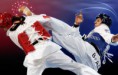 /album/galeria-de-fotos-taekwondo-hapkido-/filtra-taekwondo-jpg2/