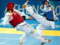 /album/galeria-de-fotos-taekwondo-hapkido-/fffgfg-jpg/