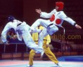 /album/galeria-de-fotos-taekwondo-hapkido-/ggh-jpg/